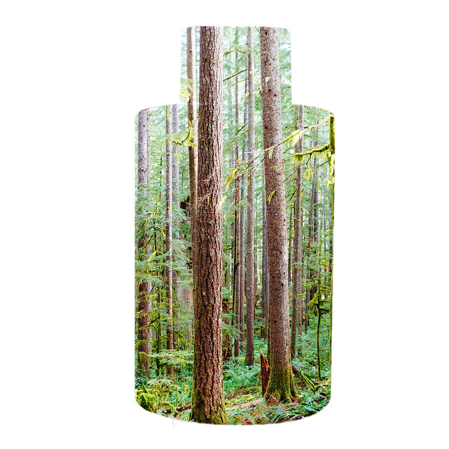 Blonde Oak Home Fragrance