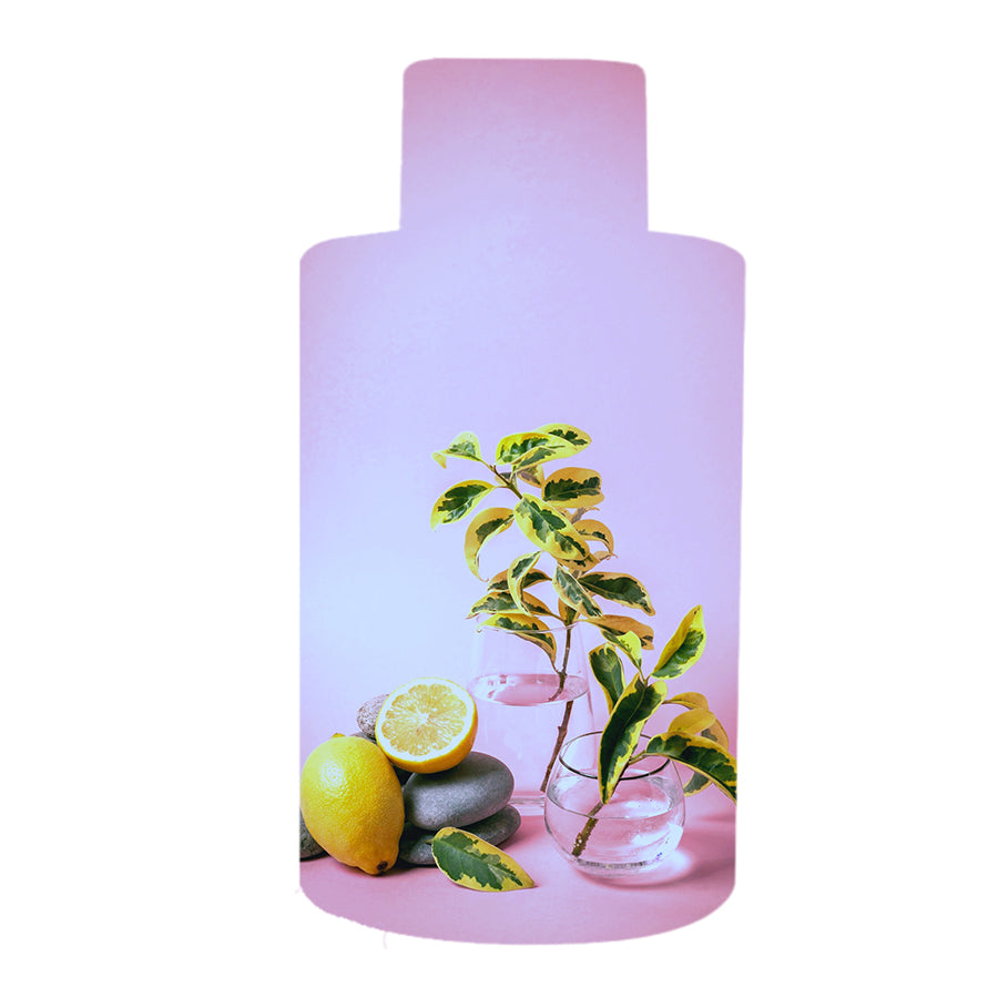 Dreams Home Fragrance