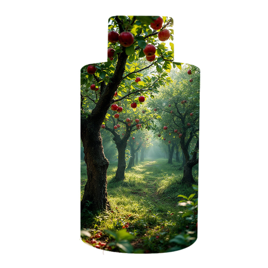 Forest Fruits Home Fragrance