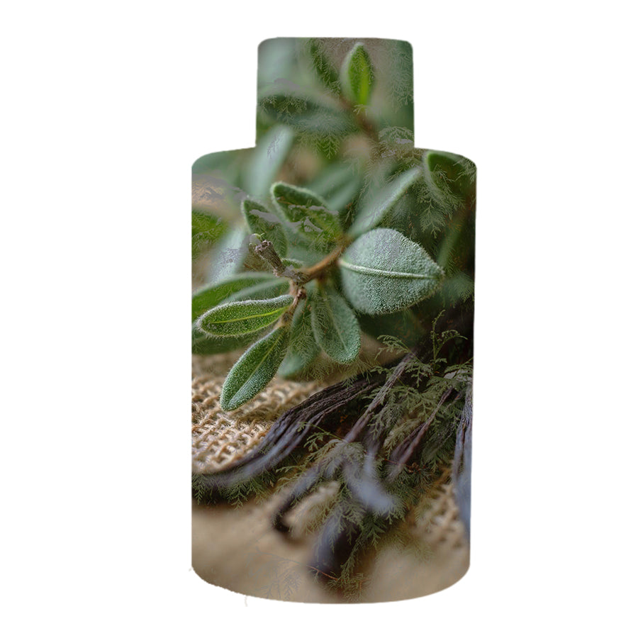 Sage Forest Scented Oil