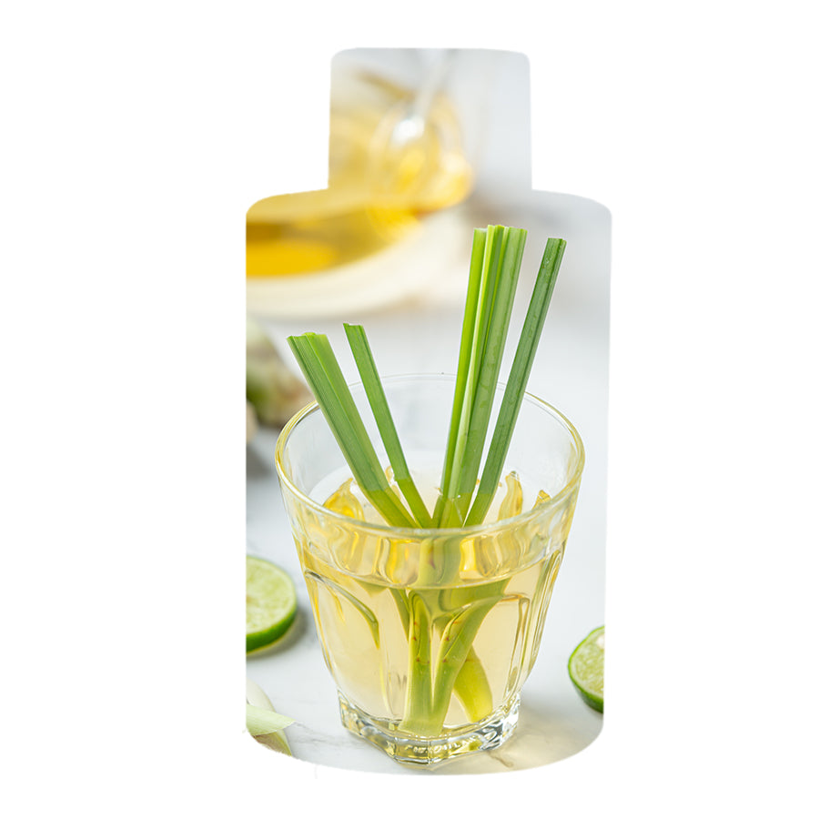 Summer Splash Home Fragrance