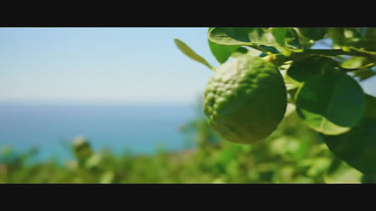 Calabrian Gold Home Fragrance